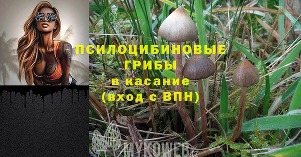 ALPHA PVP Няндома