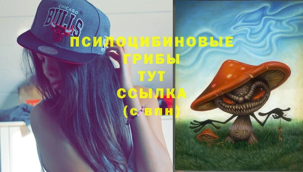 ALPHA PVP Няндома