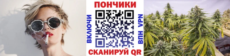 Бошки Шишки ГИДРОПОН  хочу наркоту  omg как зайти  Калининец 